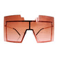 Brown Geometric Shield Sunglasses