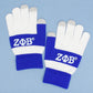 ZPB Blue White Touch and Grip Knit Winter Gloves
