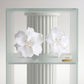 Oversized White Acrylic Petal Flower Stud Earrings