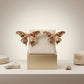 Stud Brown Winged Butterfly Free Spirit Earrings