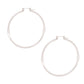 Silver Hypo Allergenic Pincatch Hoops