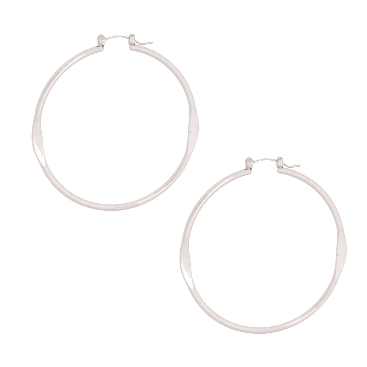 Silver Hypo Allergenic Pincatch Hoops